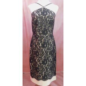The Limited Scandal Collection Tall 4 Lace Overlay Dress Black Cream